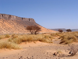 Hamada w Algierii, Hamada in Algeria, autor: Florence Devouard, CC-BY-SA-3.0, via Wikimedia Commons