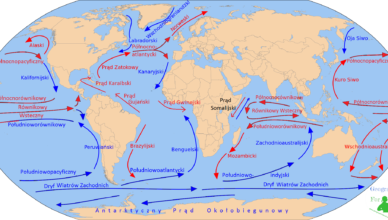 Движения океанических вод - морские течения
