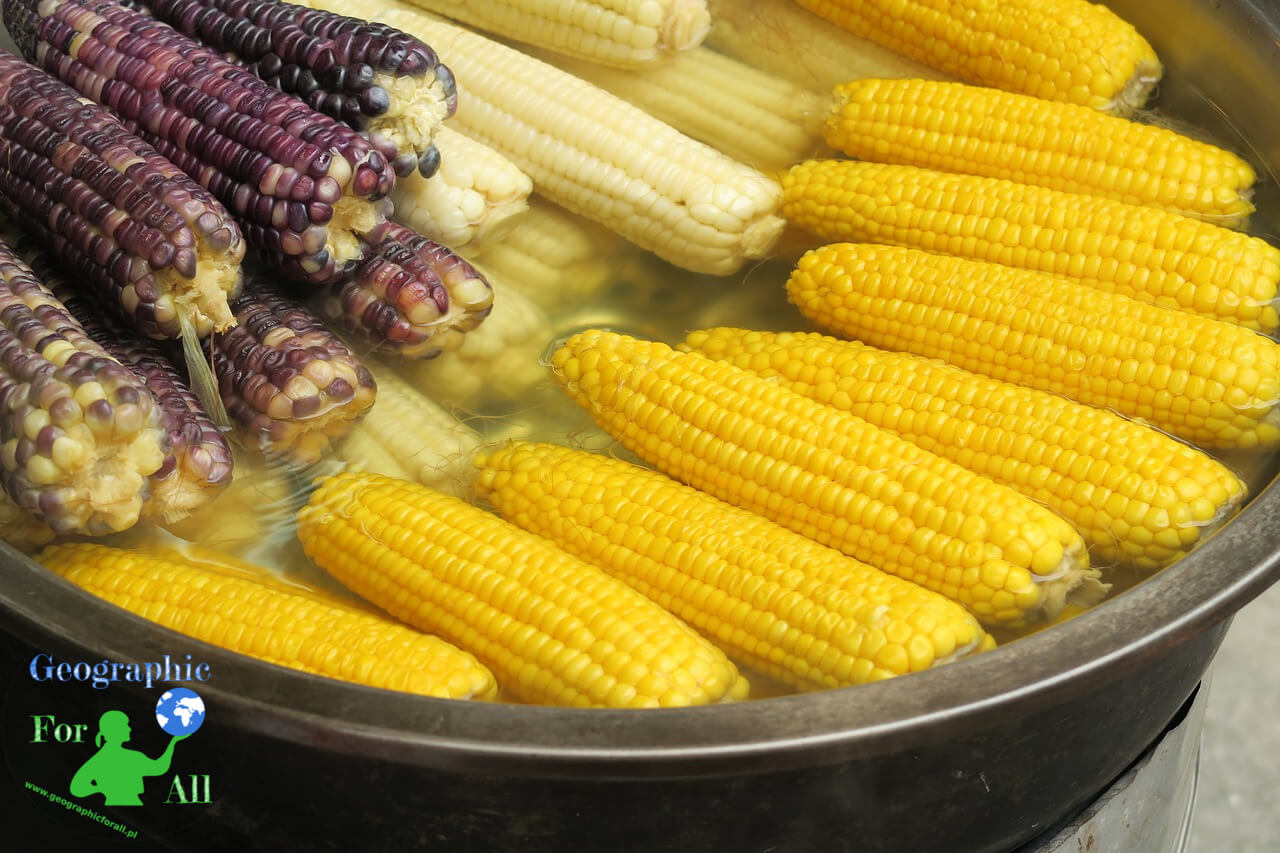 Różne odmiany kukurydzy, źródło: pixabay, Autor: focusonpc Licencja CC0